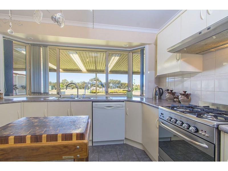 6 Palomino Court, Roseworthy SA 5371