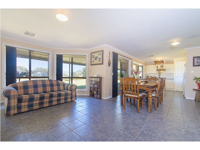 6 Palomino Court, Roseworthy SA 5371