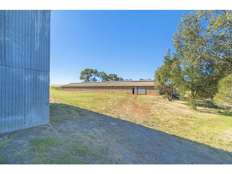 189 Salt Creek Road, Tarlee SA 5411