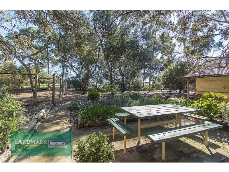 184 Stone Road, Roseworthy SA 5371