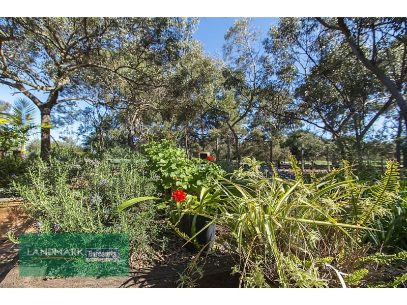 184 Stone Road, Roseworthy SA 5371