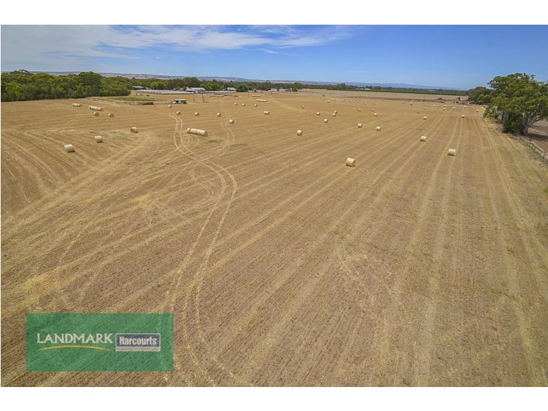 Lot 284 Chivell Road, Angle Vale SA 5117