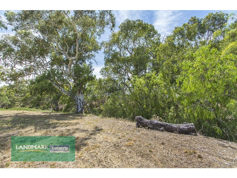 Lot 284 Chivell Road, Angle Vale SA 5117