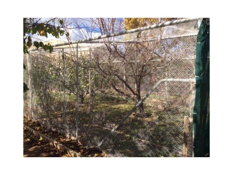 5 Warner Court, Sandy Creek SA 5350