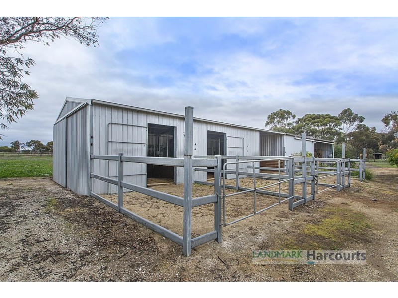 34 Ronda Ave, Roseworthy SA 5371