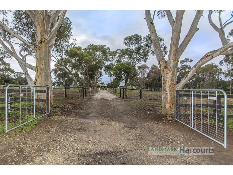 34 Ronda Ave, Roseworthy SA 5371