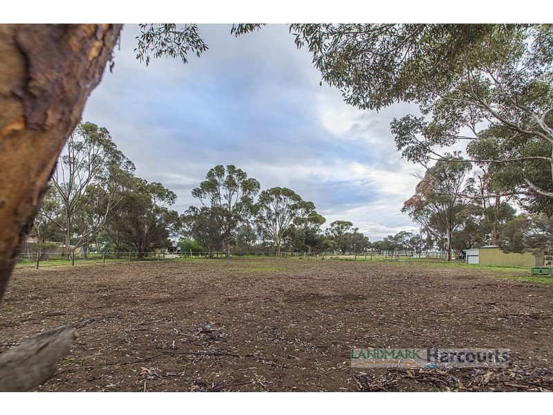 34 Ronda Ave, Roseworthy SA 5371