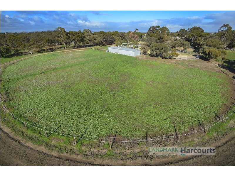 34 Ronda Ave, Roseworthy SA 5371