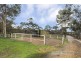 34 Ronda Ave, Roseworthy SA 5371