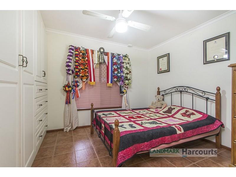 34 Ronda Ave, Roseworthy SA 5371