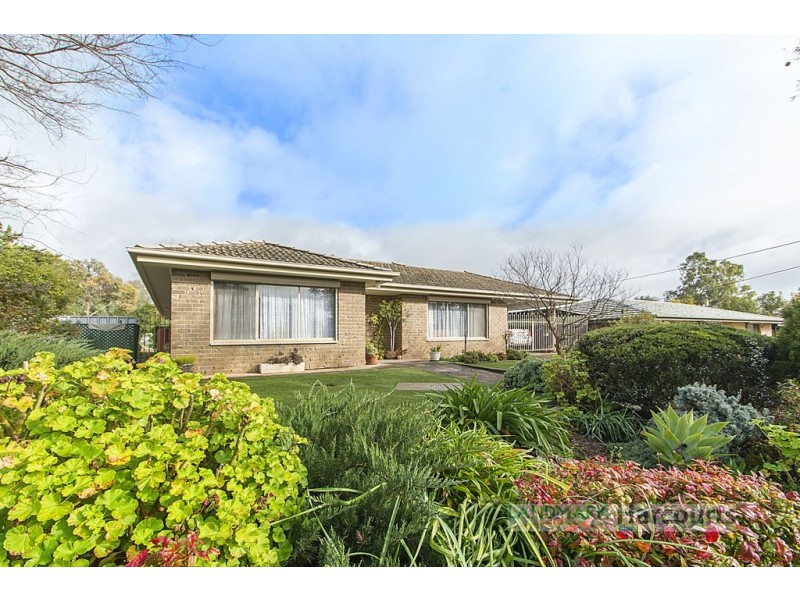 19 Matthew Place, Riverton SA 5412