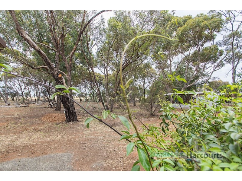 44-46 Craig Street, Tarlee SA 5411