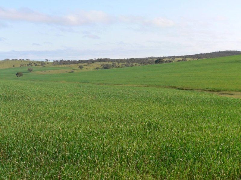 Slate Road Peep Hill Via, Eudunda SA 5374