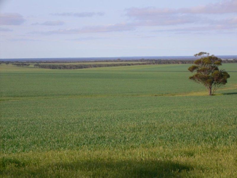 Slate Road Peep Hill Via, Eudunda SA 5374