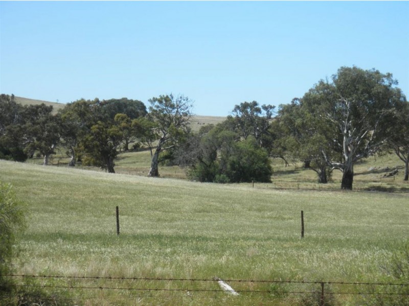 247 Gap Road, Palmer SA 5237
