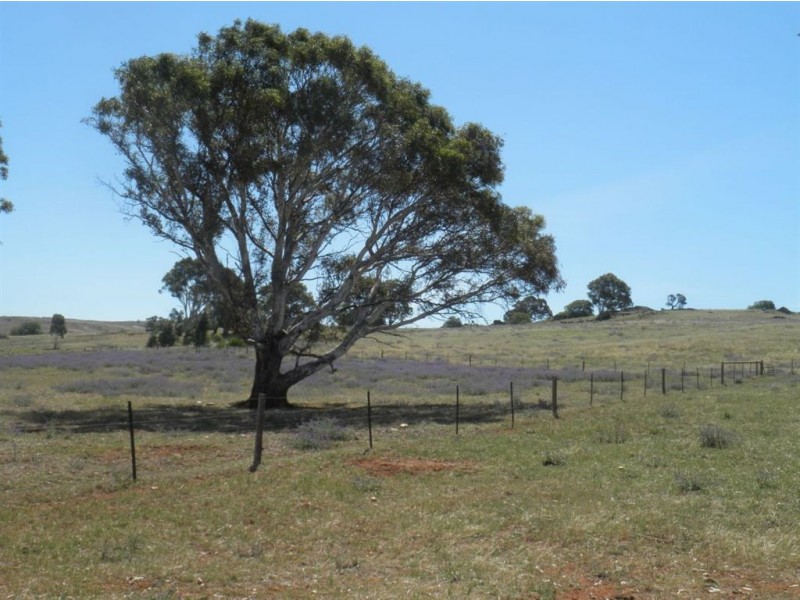 247 Gap Road, Palmer SA 5237