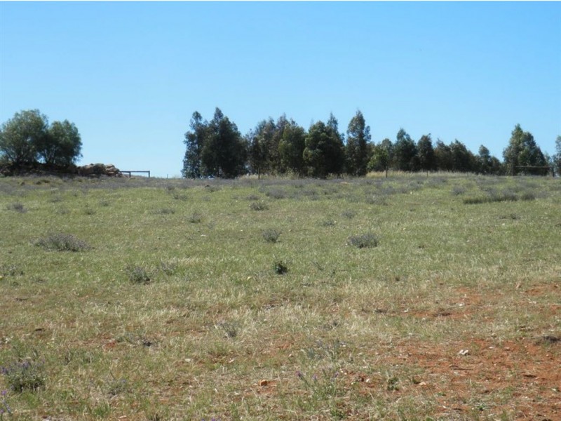 247 Gap Road, Palmer SA 5237