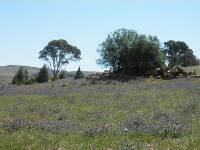 247 Gap Road, Palmer SA 5237