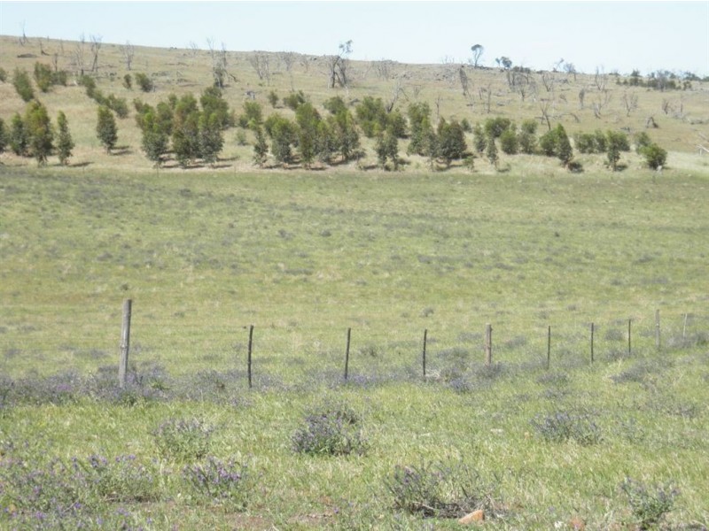 247 Gap Road, Palmer SA 5237