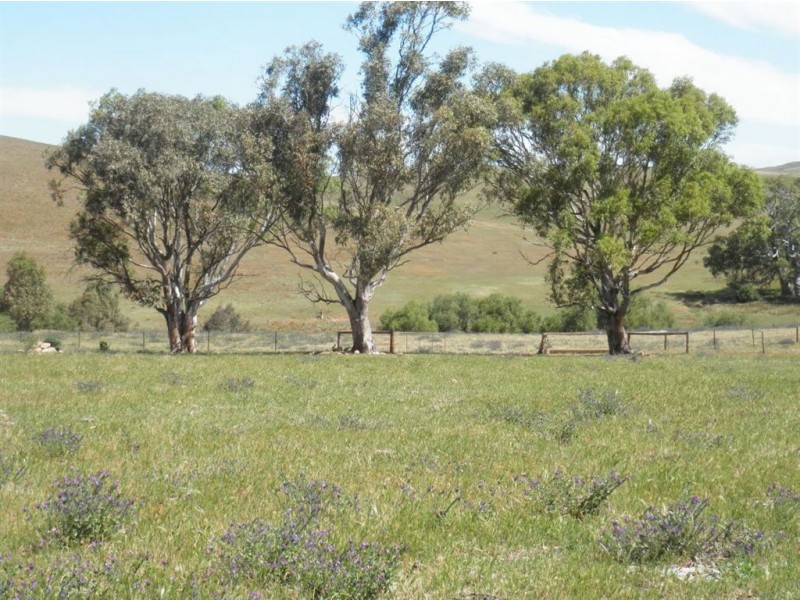 247 Gap Road, Palmer SA 5237