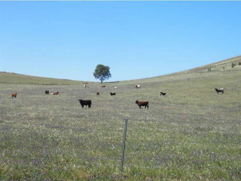 247 Gap Road, Palmer SA 5237