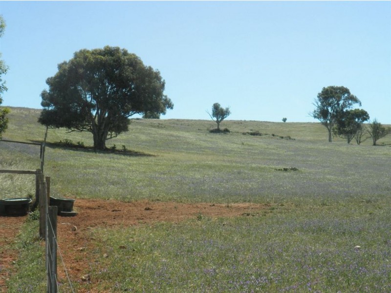 247 Gap Road, Palmer SA 5237