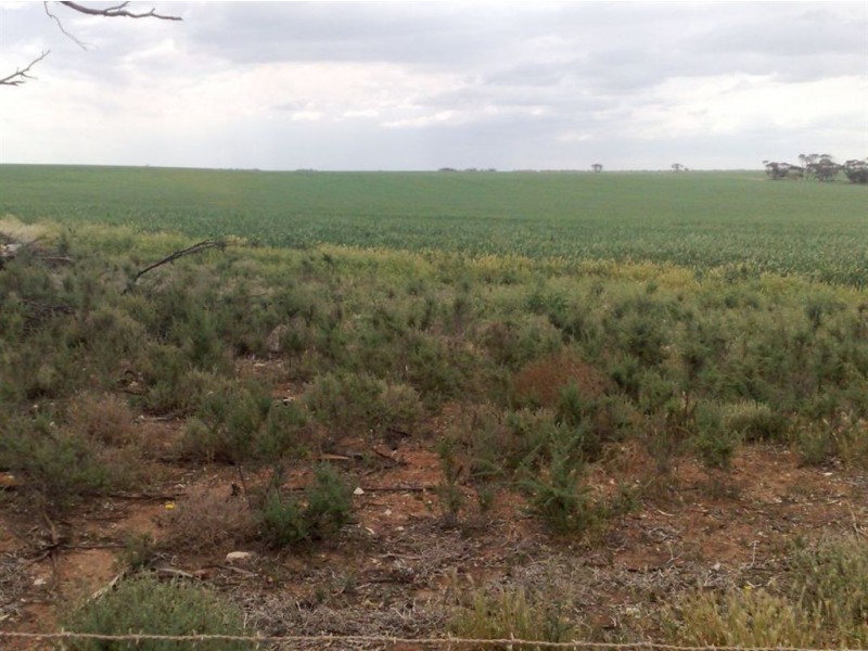 Assort Sec Ridley Road & Schubert Road, Cambrai SA 5353