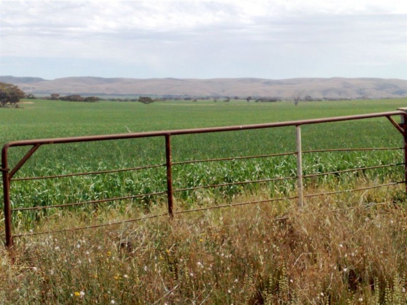 Assort Sec Ridley Road & Schubert Road, Cambrai SA 5353