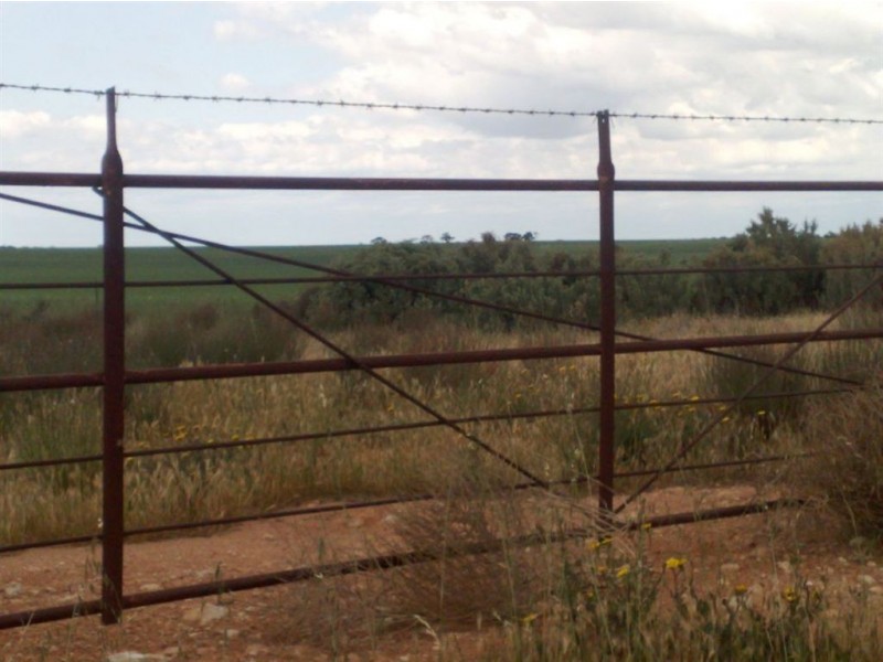 Lot 52 Schubert Road, Cambrai SA 5353