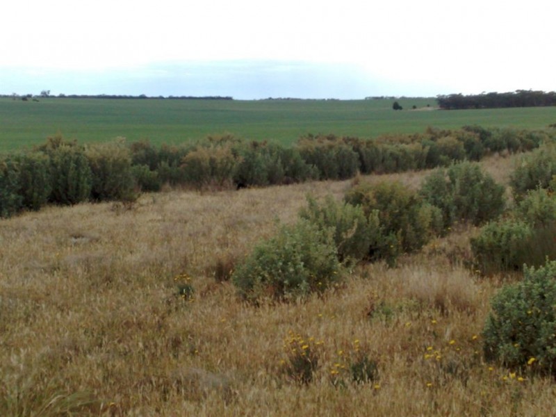 Lot 52 Schubert Road, Cambrai SA 5353