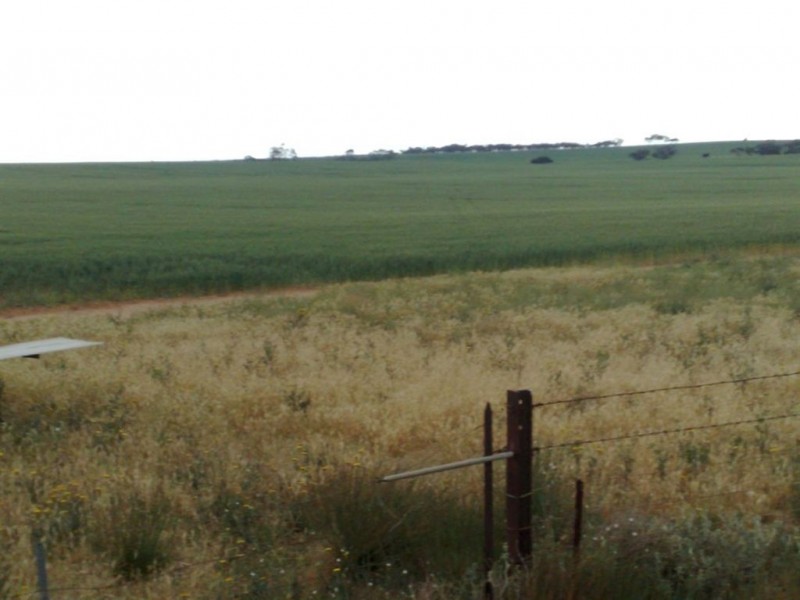 Lot 52 Schubert Road, Cambrai SA 5353