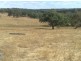 001 Schrapels Rd, K Hicks Rd, Seager Rd & McGorman Rd, Mount Pleasant SA 5235