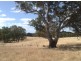 001 Schrapels Rd, K Hicks Rd, Seager Rd & McGorman Rd, Mount Pleasant SA 5235