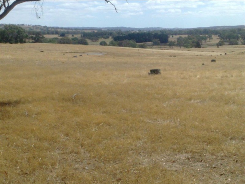 001 Schrapels Rd, K Hicks Rd, Seager Rd & McGorman Rd, Mount Pleasant SA 5235