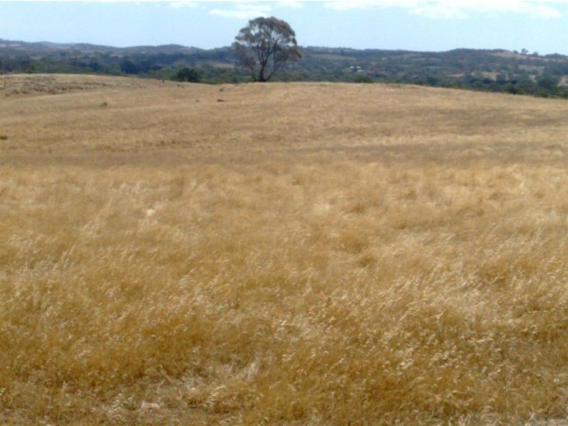 001 Schrapels Rd, K Hicks Rd, Seager Rd & McGorman Rd, Mount Pleasant SA 5235