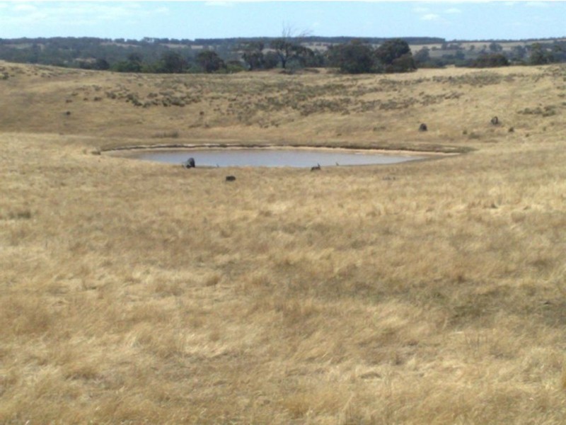 001 Schrapels Rd, K Hicks Rd, Seager Rd & McGorman Rd, Mount Pleasant SA 5235