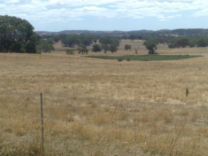 001 Schrapels Rd, K Hicks Rd, Seager Rd & McGorman Rd, Mount Pleasant SA 5235