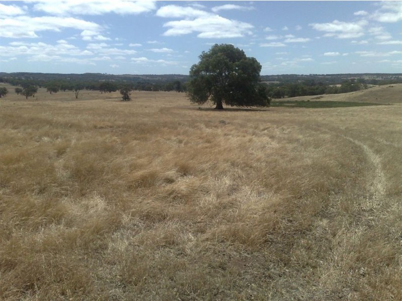 001 Schrapels Rd, K Hicks Rd, Seager Rd & McGorman Rd, Mount Pleasant SA 5235