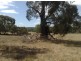 001 Schrapels Rd, K Hicks Rd, Seager Rd & McGorman Rd, Mount Pleasant SA 5235