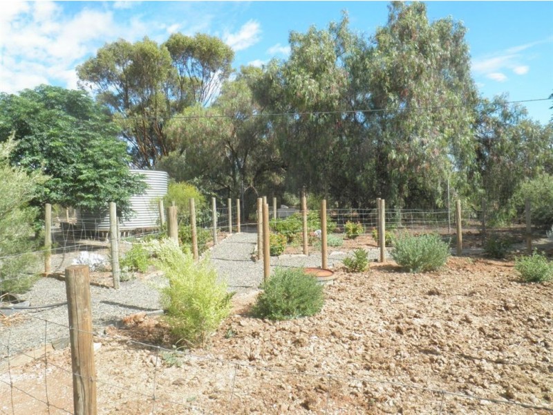 602 Gerschwitz Road, Sedan SA 5353