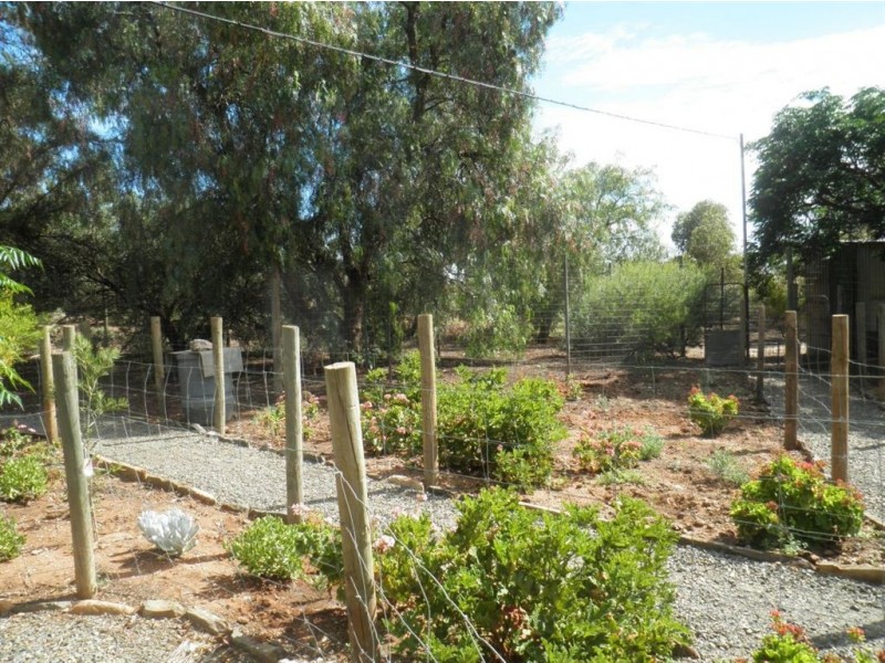 602 Gerschwitz Road, Sedan SA 5353