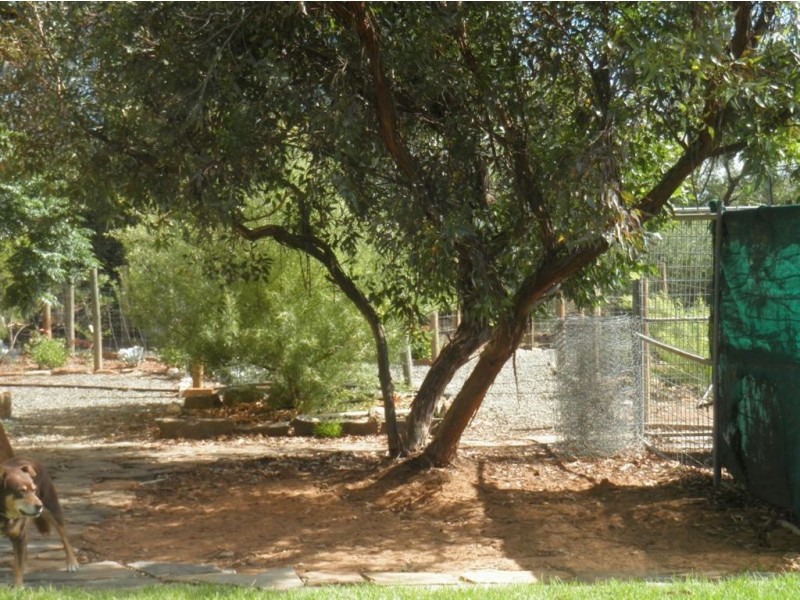 602 Gerschwitz Road, Sedan SA 5353