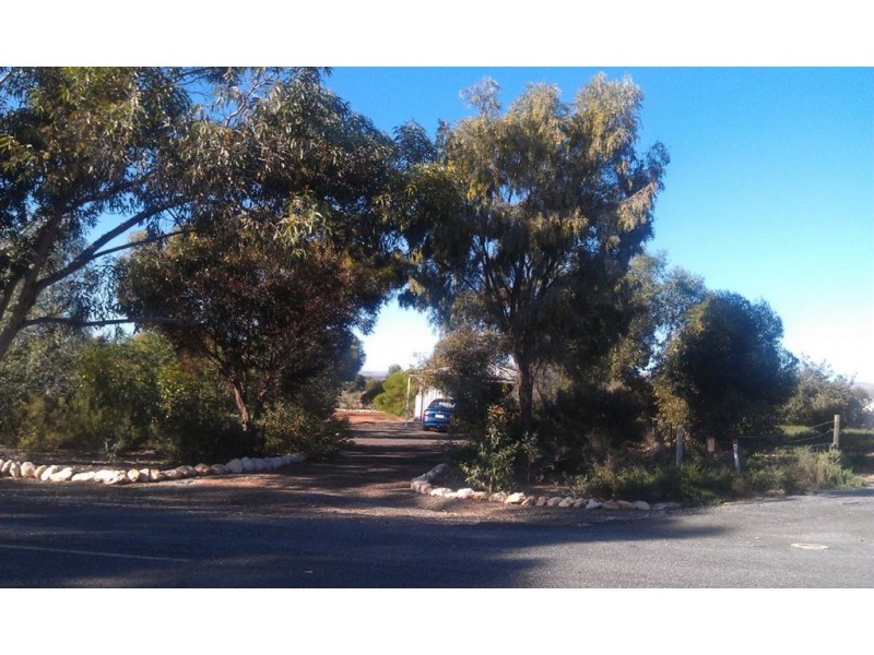 1 Curio Road, Cambrai SA 5353