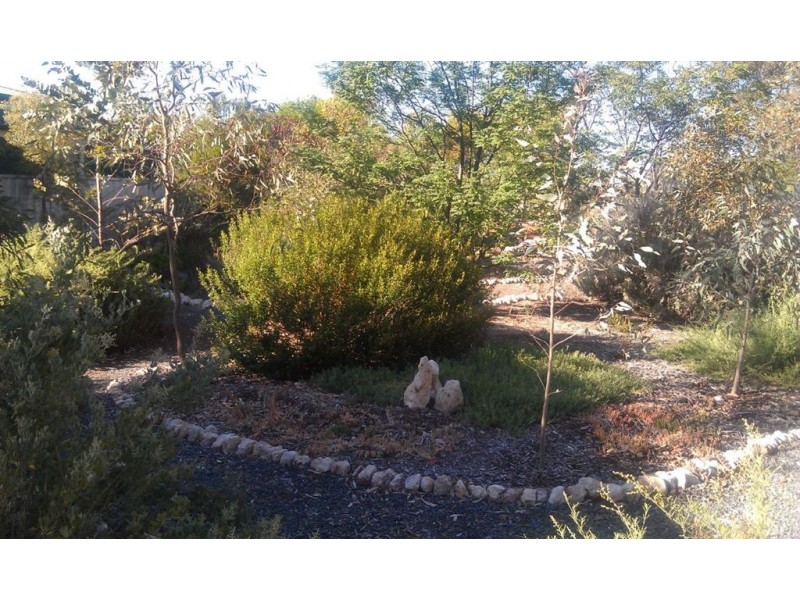 1 Curio Road, Cambrai SA 5353