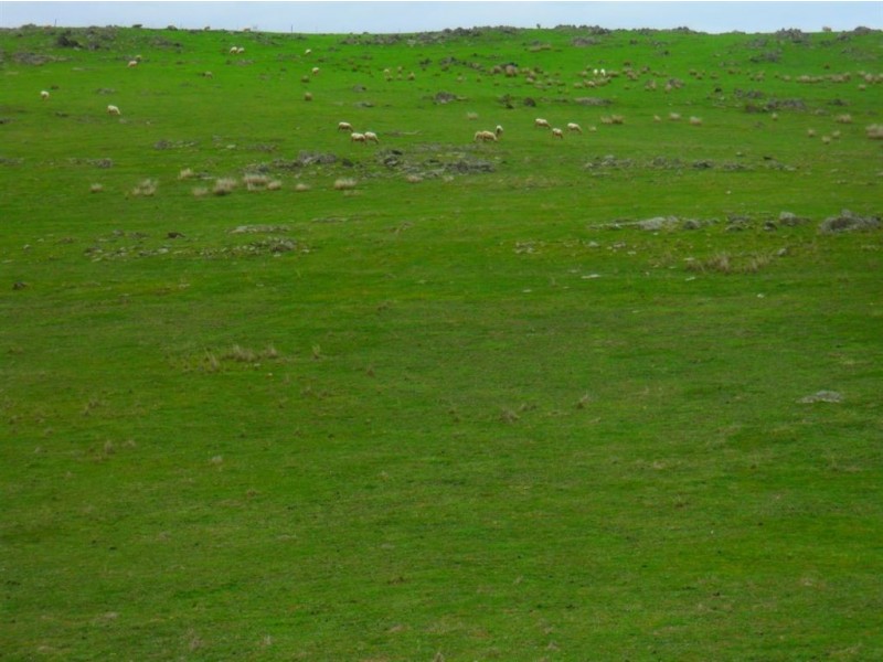 Lot 3 Jutland Road, Eden Valley SA 5235