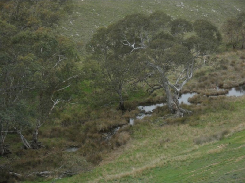 Lot 3 Jutland Road, Eden Valley SA 5235