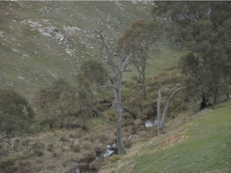 Lot 3 Jutland Road, Eden Valley SA 5235