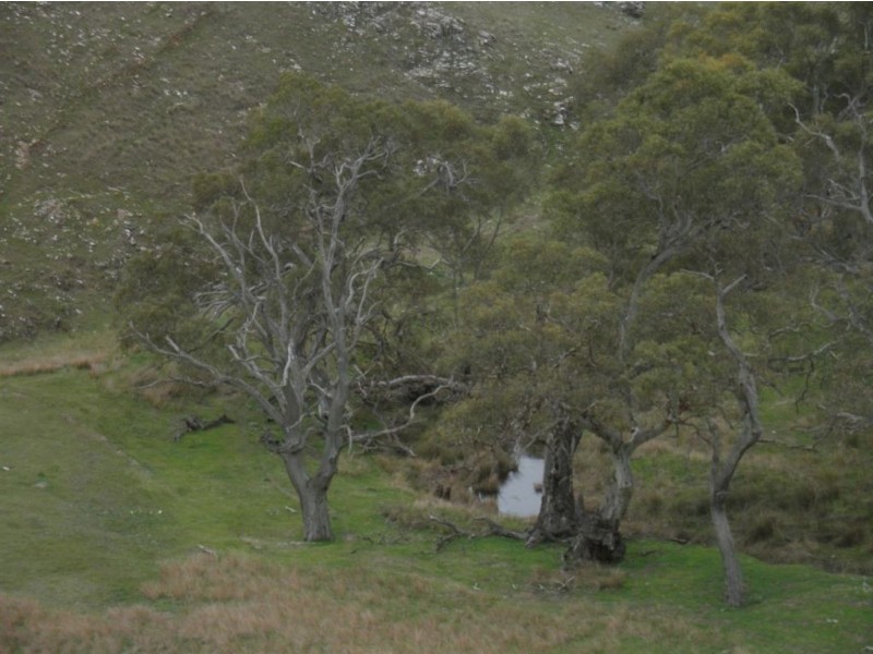 Lot 3 Jutland Road, Eden Valley SA 5235