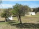 Lot 53 Jutland Road, Springton SA 5235