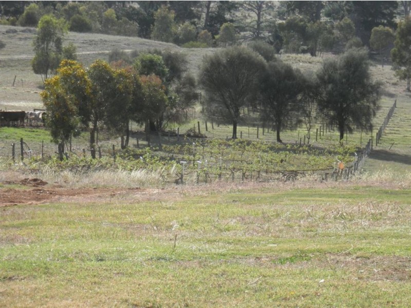 Lot 53 Jutland Road, Springton SA 5235
